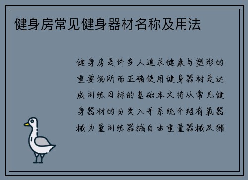 健身房常见健身器材名称及用法
